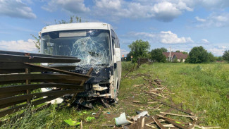 Под Самарой укус осы спровоцировал ДТП с пассажирским автобусом
